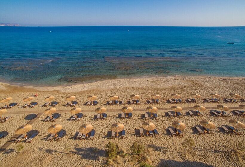 בית מלון כפרי Paralos Kosta Alimia