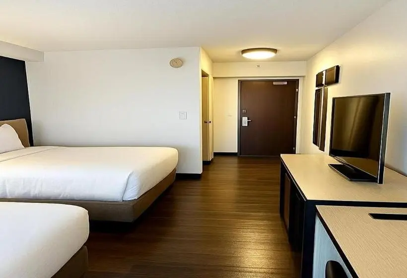 ホテル City Express by Marriott Washington, DC Northeast