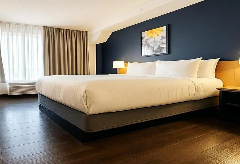 ホテル City Express by Marriott Washington, DC Northeast