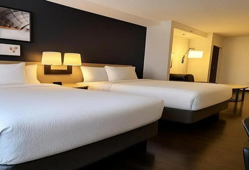 ホテル City Express by Marriott Washington, DC Northeast