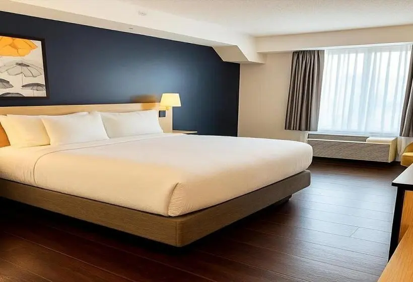 ホテル City Express by Marriott Washington, DC Northeast