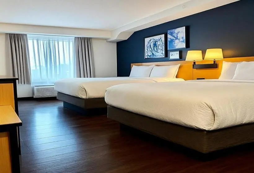 ホテル City Express by Marriott Washington, DC Northeast