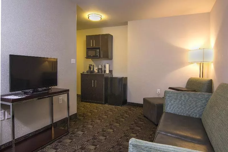 Holiday Inn Express Hotel & Suites Carlsbad Beach, An Ihg