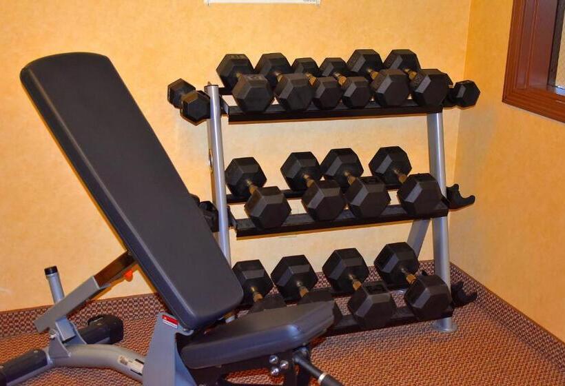 فندق Holiday Inn Express Syracuse Fairgrounds, An Ihg