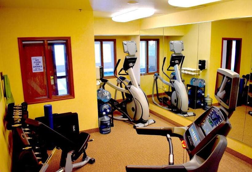 فندق Holiday Inn Express Syracuse Fairgrounds, An Ihg