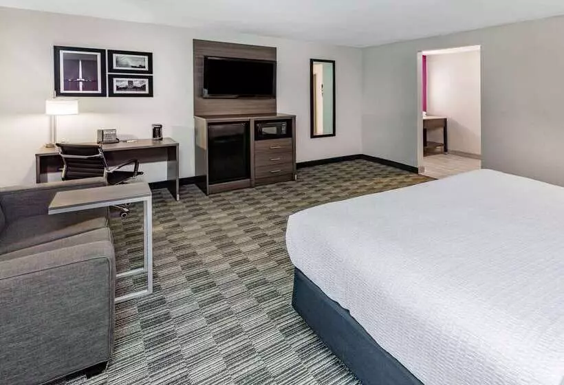 Hotel La Quinta By Wyndham Houston Southwest