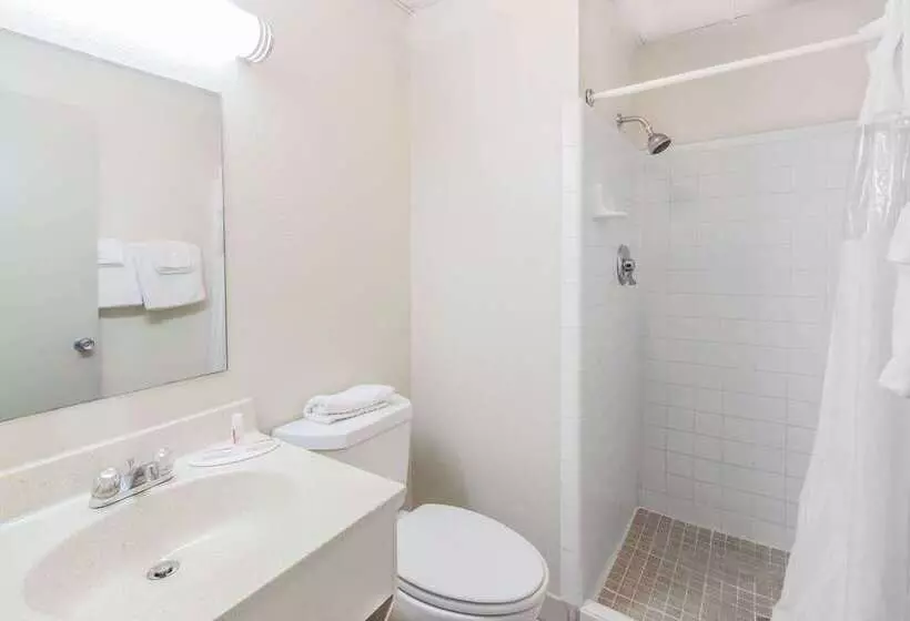 Hotelli Super 8 By Wyndham Knoxville Downtown Area