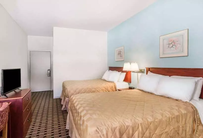 Hotelli Super 8 By Wyndham Knoxville Downtown Area