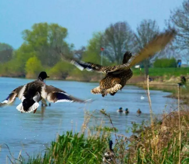 Fletcher Hotel Restaurant Rooland