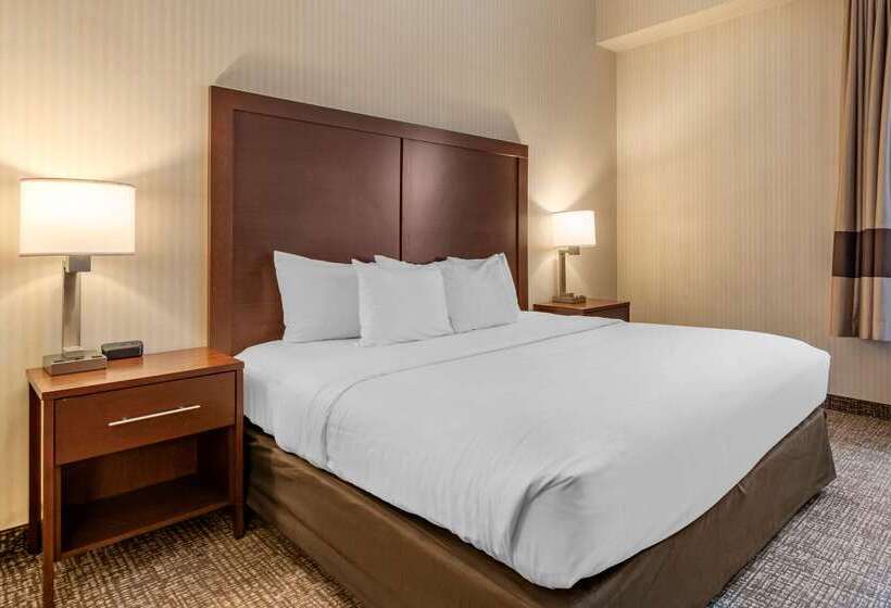 فندق Comfort Suites Downtown Carlisle