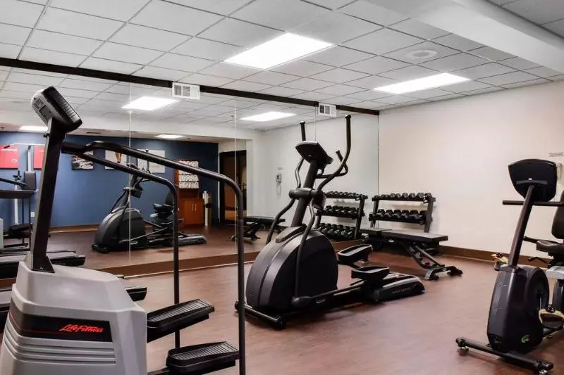 בית מלון כפרי Comfort Suites Downtown Carlisle