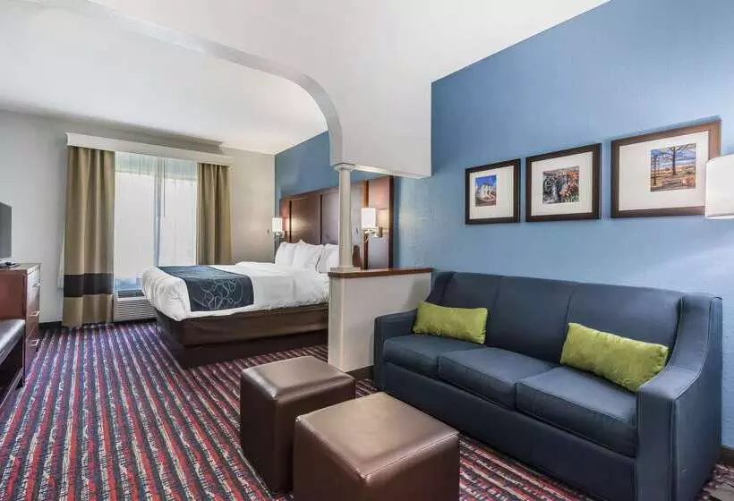 هتل Comfort Suites St Charlesst Louis