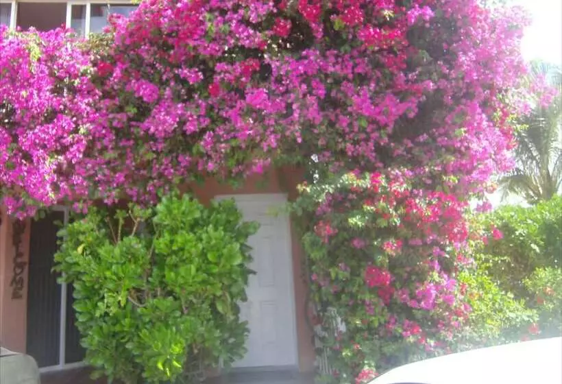 هتل Dundee Bay Villas