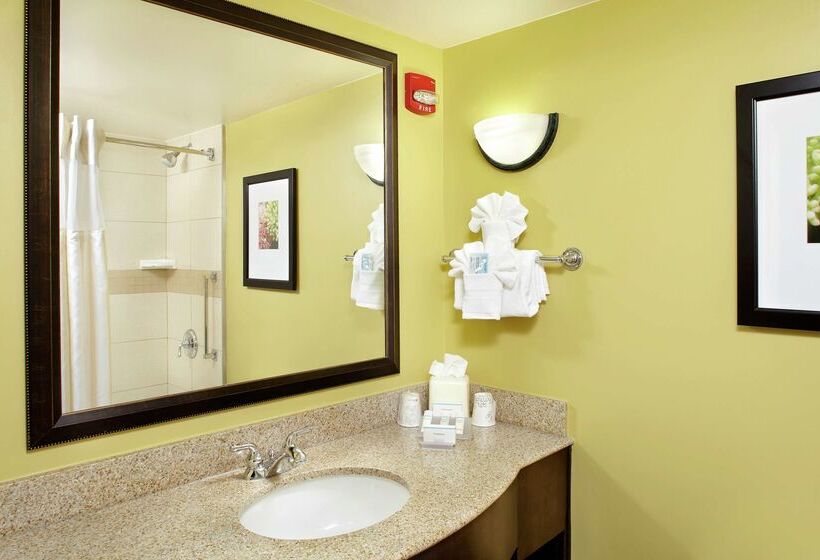 ホテル Hilton Garden Inn Tampa East/brandon