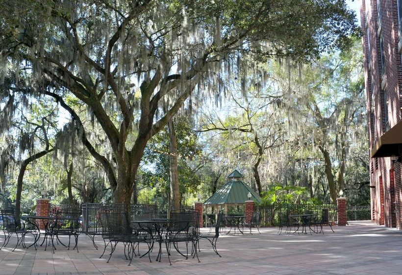 ホテル Hilton Garden Inn Tampa East/brandon