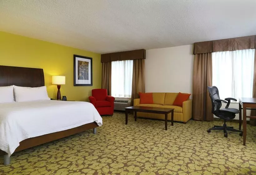 هتل Hilton Garden Inn Tampa East/brandon