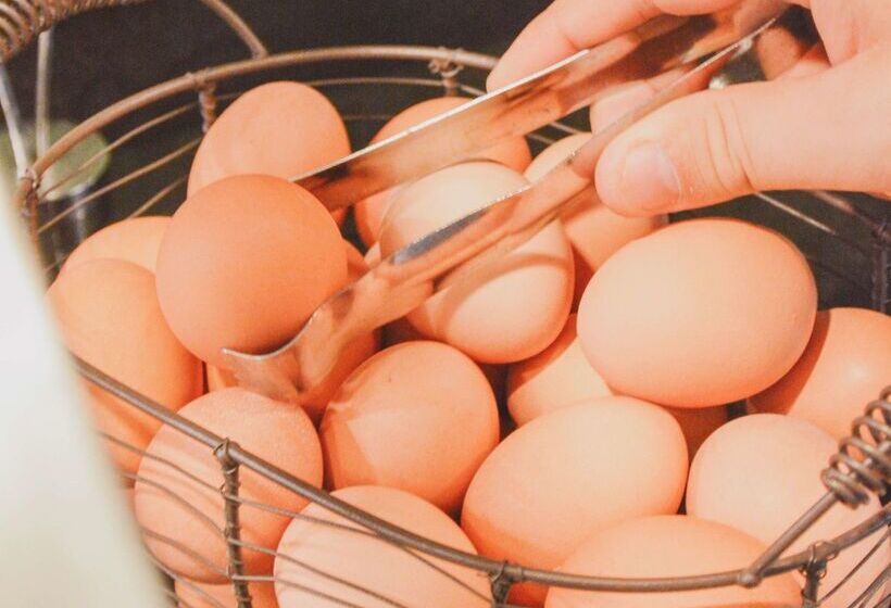 فندق Hyatt Place Chantilly Dulles Airport South