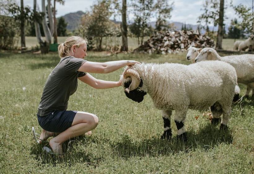 בית מלון כפרי Maple Lodge
