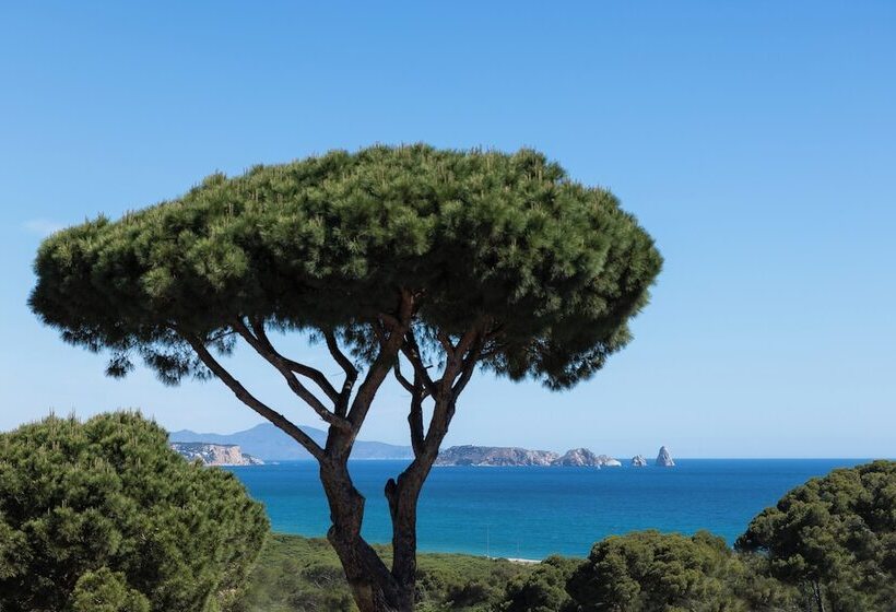 Отель Sa Punta Adults Only