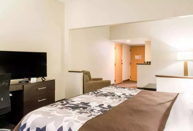 هتل Sleep Inn & Suites