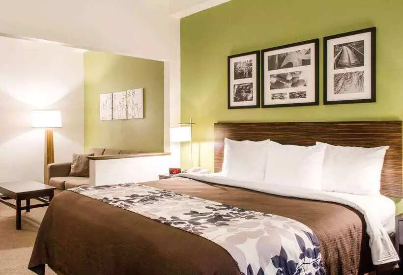 هتل Sleep Inn & Suites