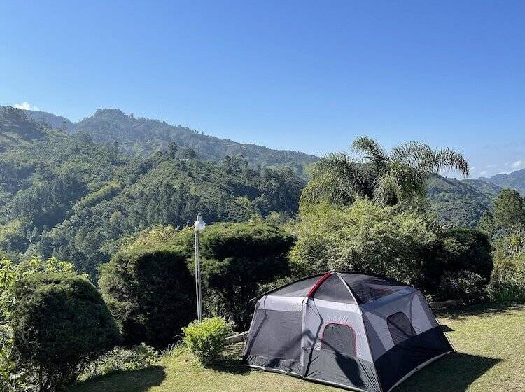 هتل Starlight Chalet