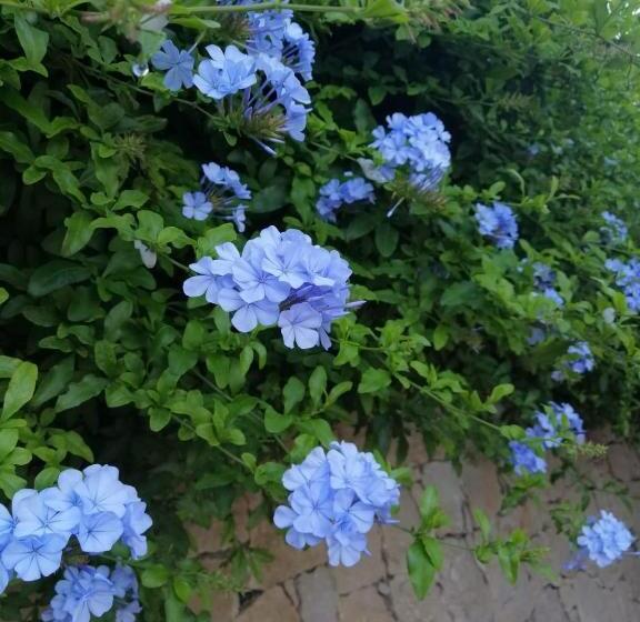 هتل Agriturismo Un Mare Di Fiori