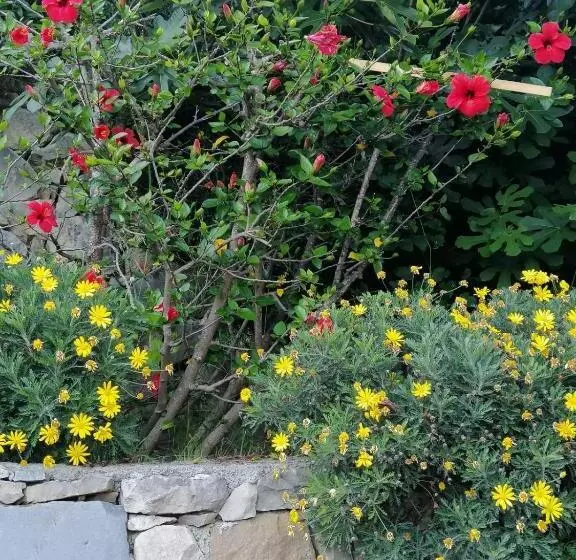 ホテル Agriturismo Un Mare Di Fiori