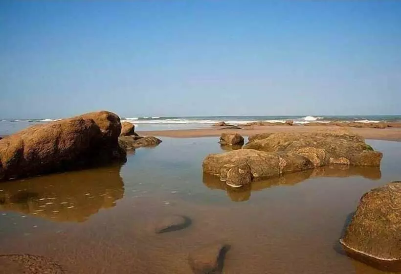 ホテル Bamboo Lodge Zorritos