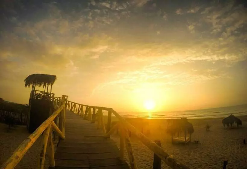 ホテル Bamboo Lodge Zorritos