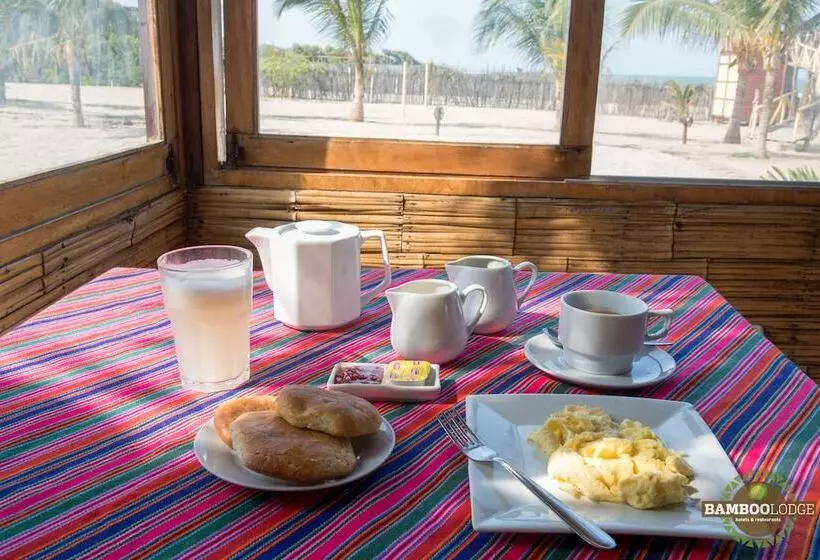 ホテル Bamboo Lodge Zorritos