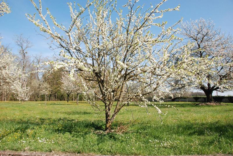Hotel Chateau De Jalnay