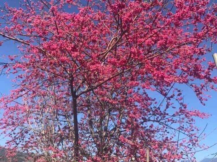 هتل Erping Mountain Resort