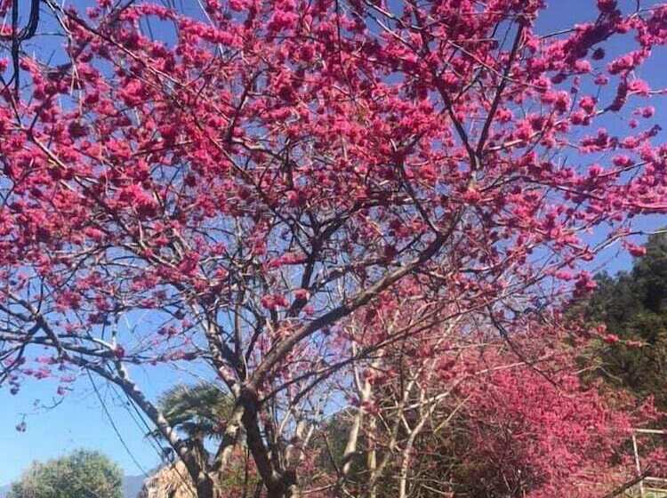 هتل Erping Mountain Resort