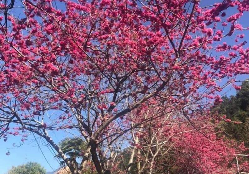 هتل Erping Mountain Resort