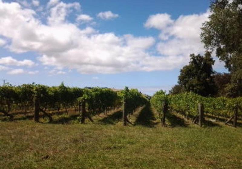 酒店 Meadowood Country House