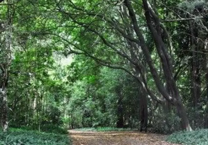 ホテル Meadowood Country House