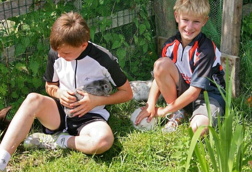 هتل Pension Aichner