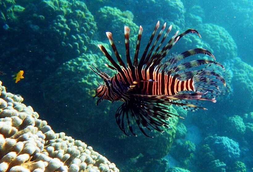 فندق Royal Cliff Resort