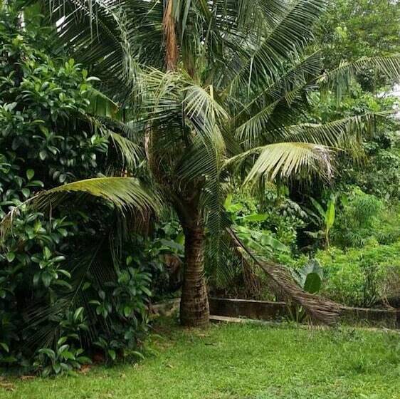 فندق Villa Solihin