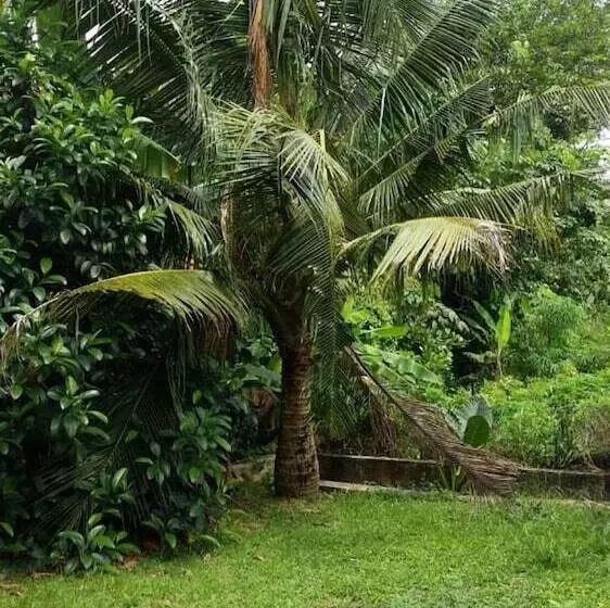 Hotelli Villa Solihin