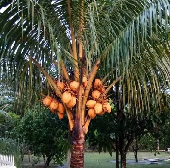 Hotelli Villa Solihin