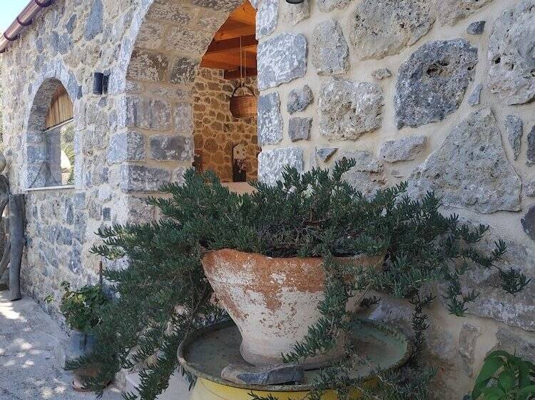 בית מלון כפרי Windy Place