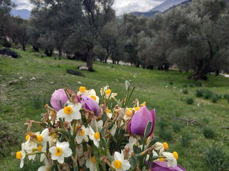 בית מלון כפרי Windy Place