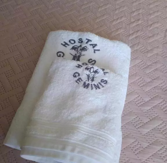 Aamiaismajoitus (B&B) Hostal Geminis ,phillipi 653 Centro