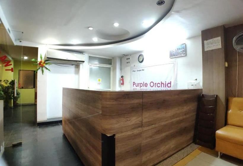 Hotell Fab Prime Purple Orchid