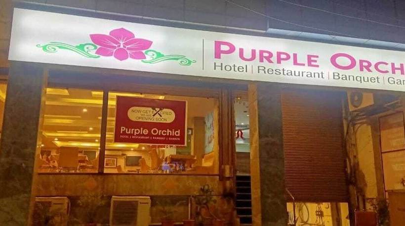 Hotell Fab Prime Purple Orchid