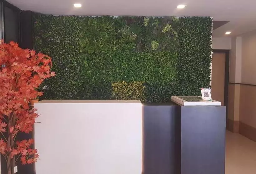 Majatalo Blueberry Budget