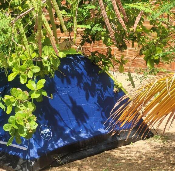 膳宿费 Hostel Flor Da Vida