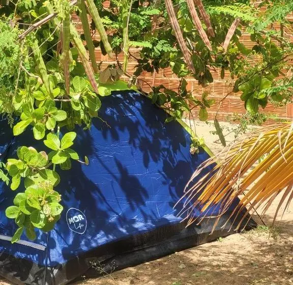 ペンション Hostel Flor Da Vida